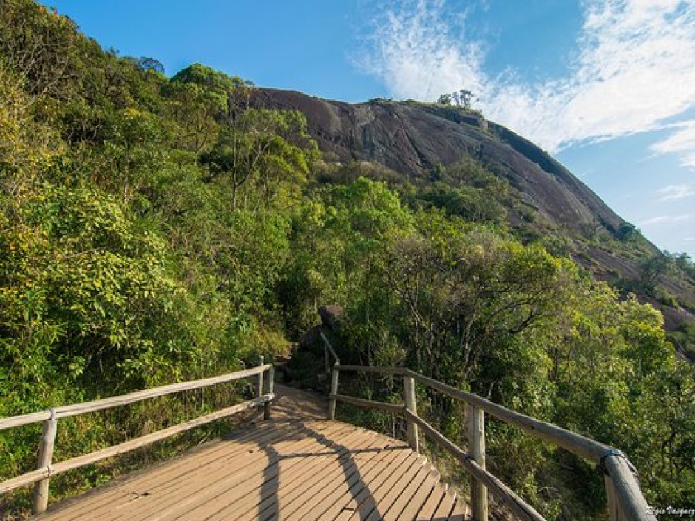 Monte Verde