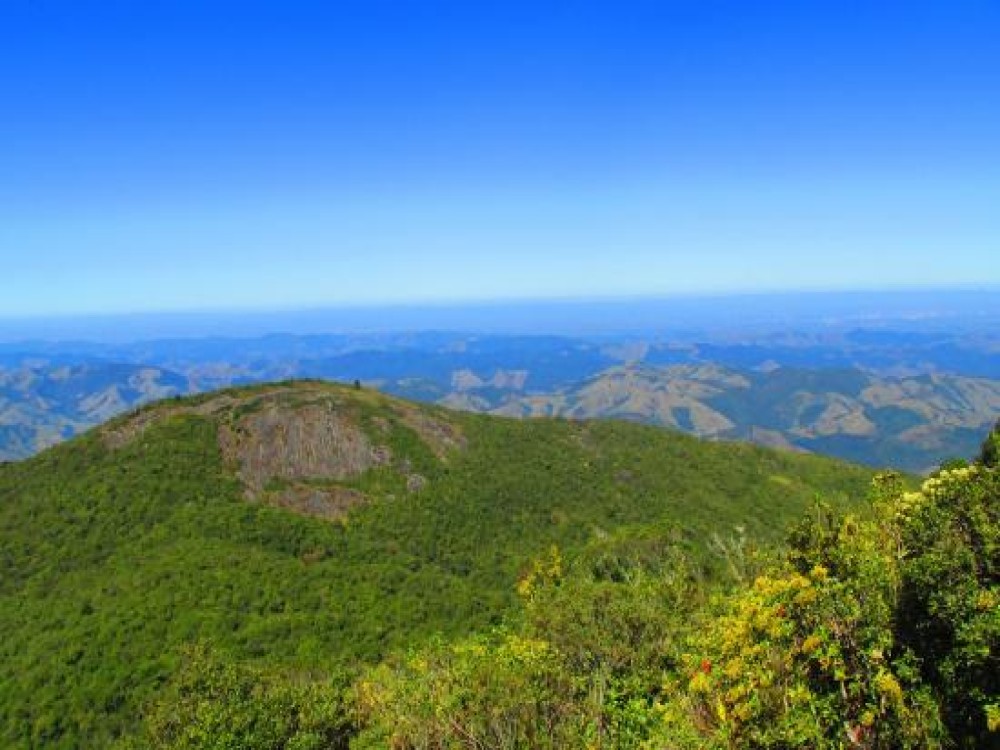 Monte Verde