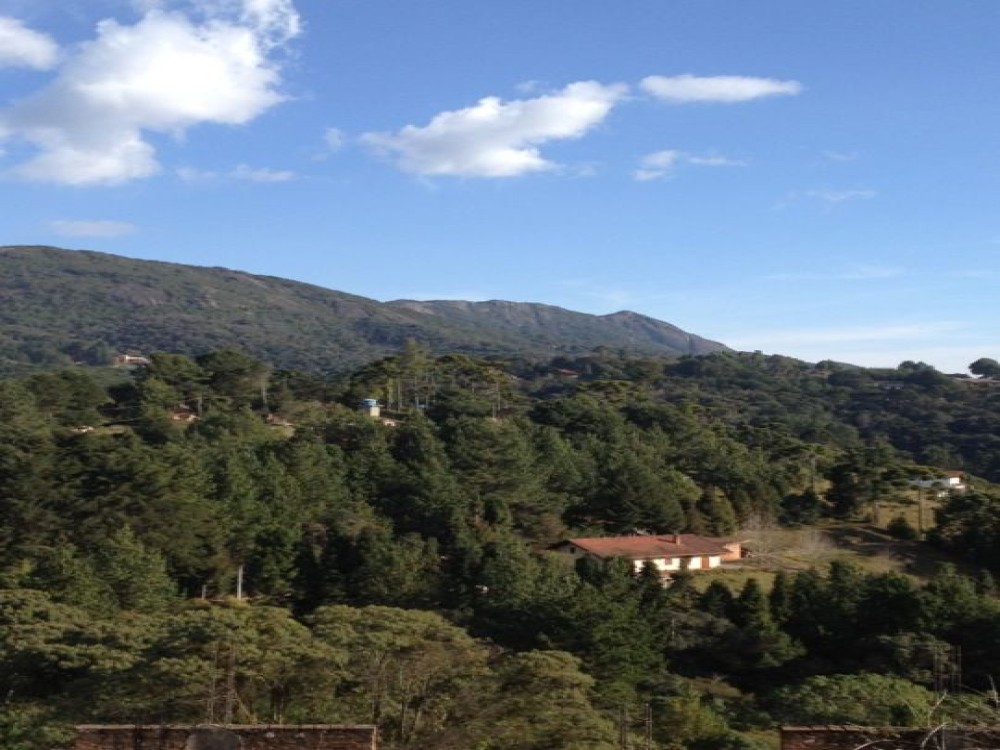 Monte Verde