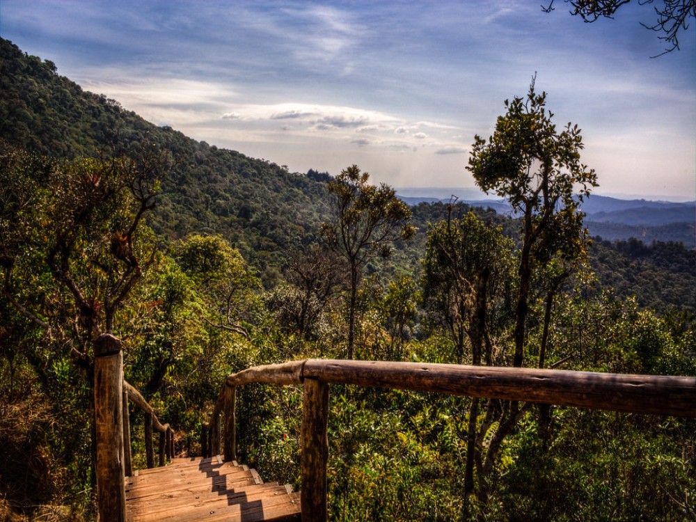 Monte Verde