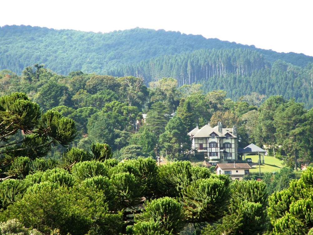 Monte Verde