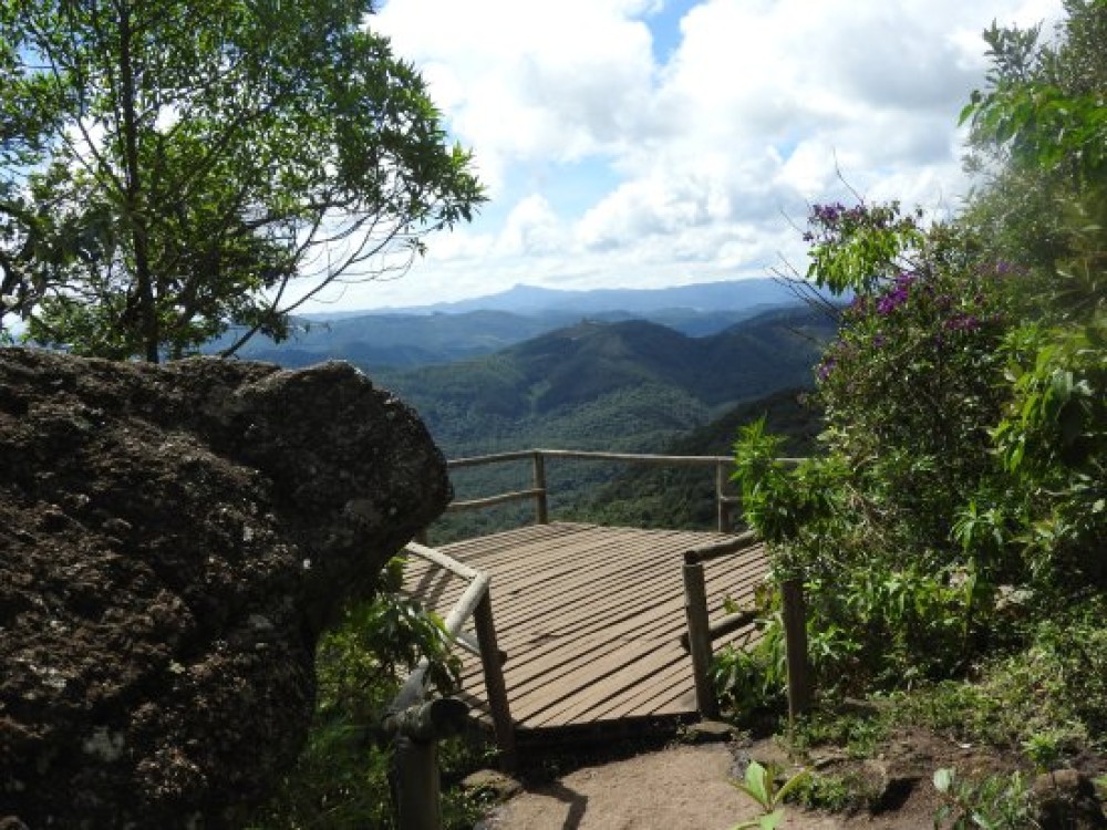 Pedra Badejo