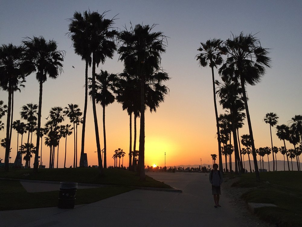 Venice Beach