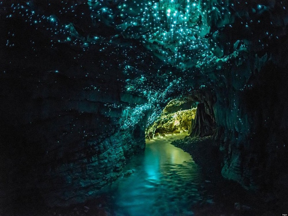 Te Anau Glowworm Caves