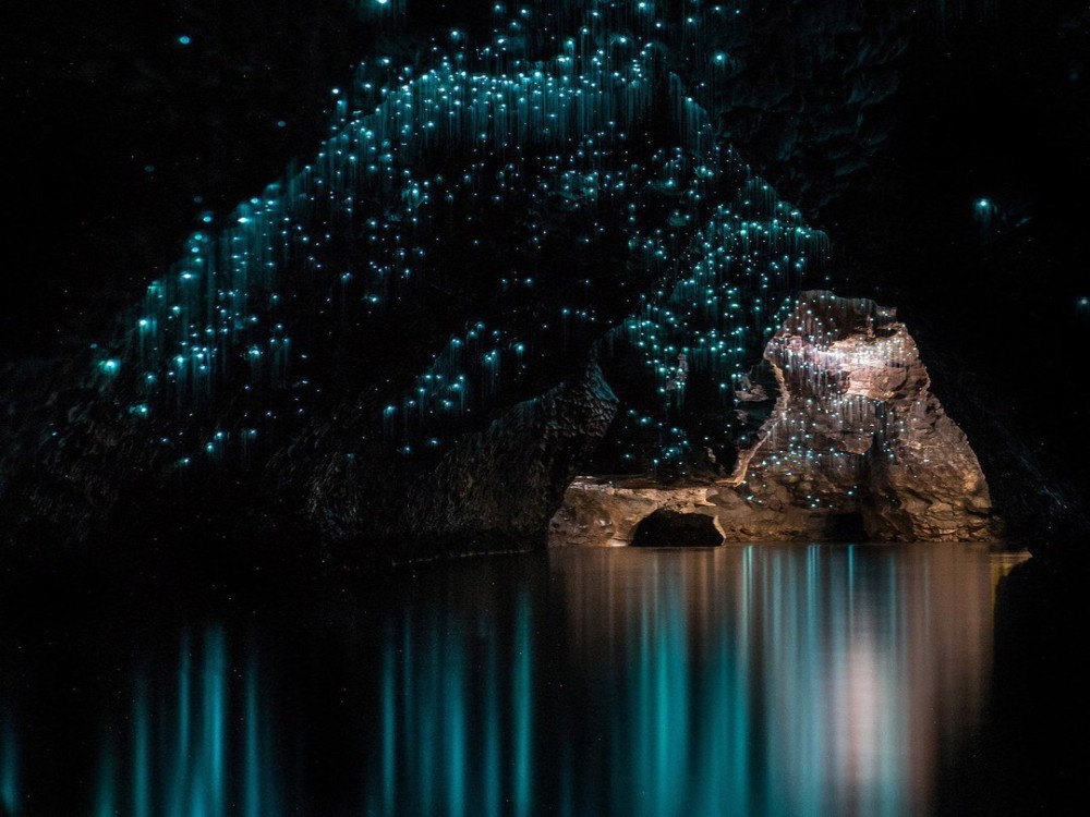 Te Anau Glowworm Caves