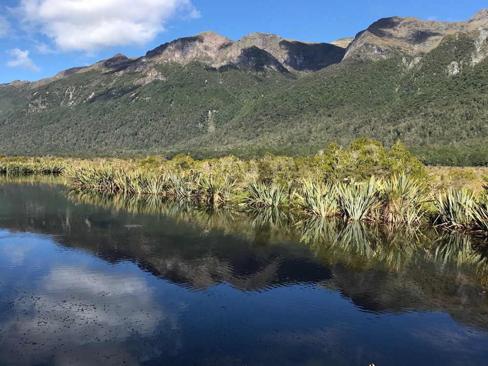 Fiordland National Park