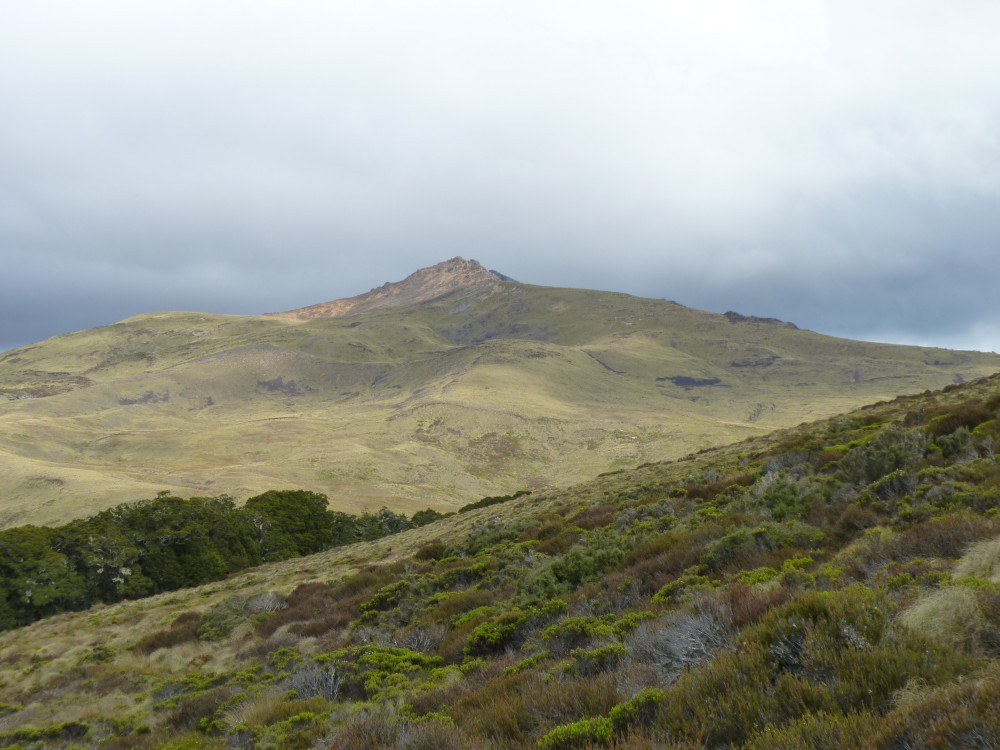 Kepler Track