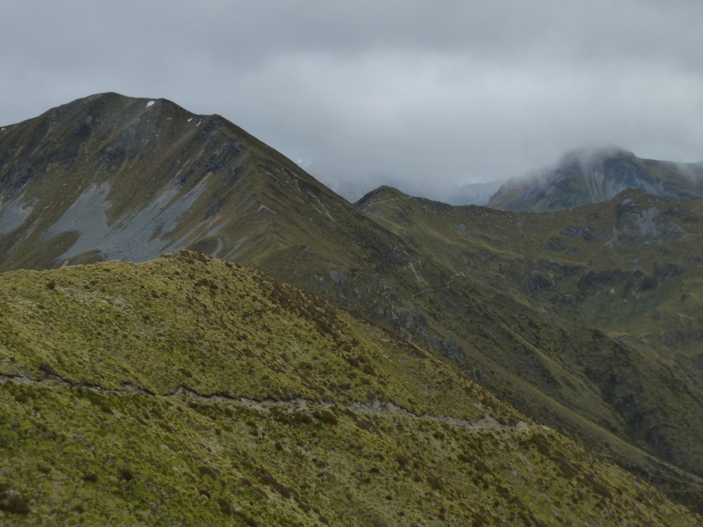 Kepler Track