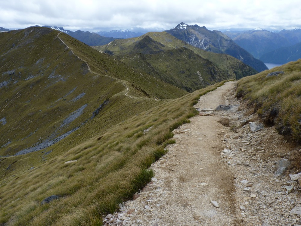 Kepler Track