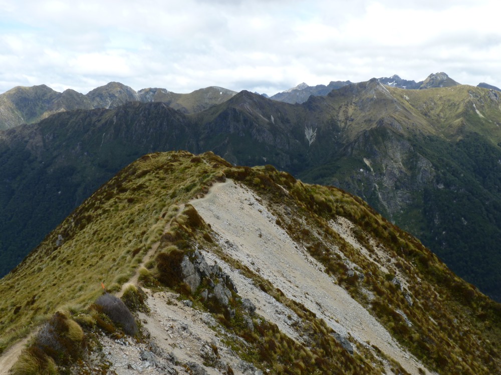 Kepler Track