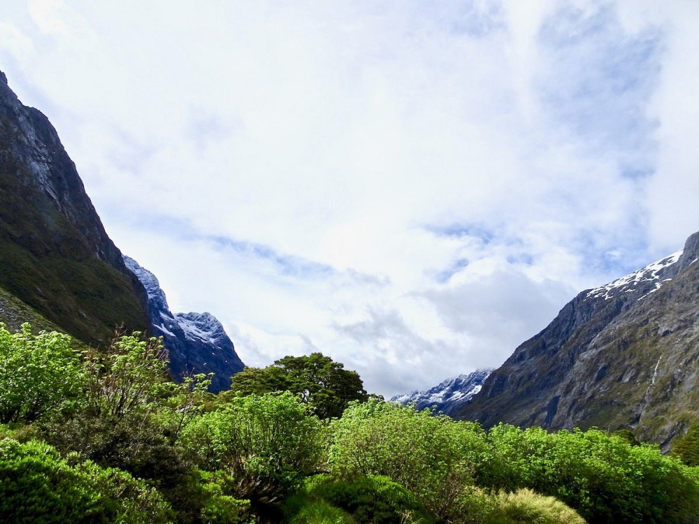 Gertrude Saddle