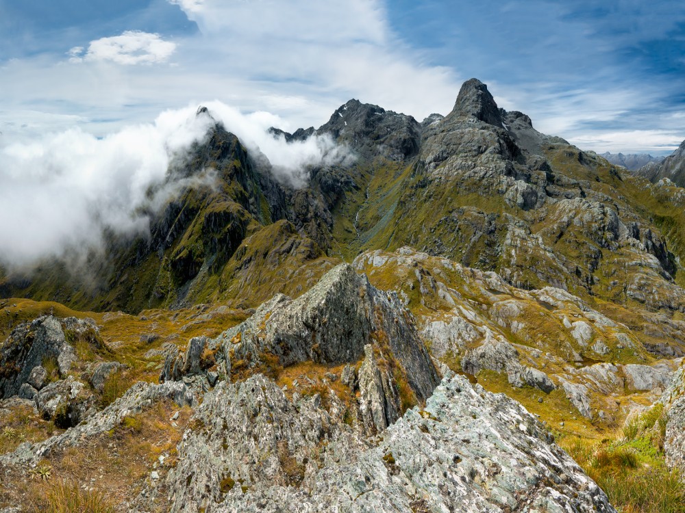 Gertrude Saddle