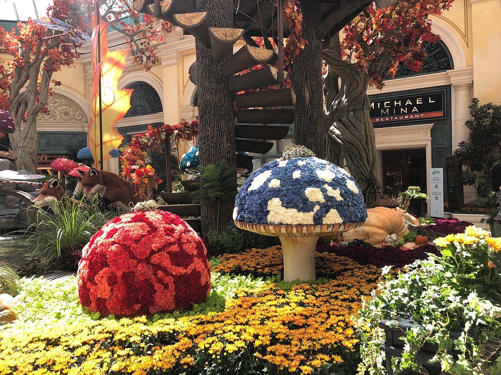 Bellagio Conservatory & Botanical Garden