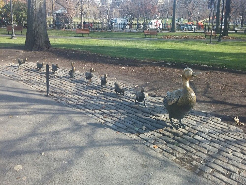 Boston Public Garden