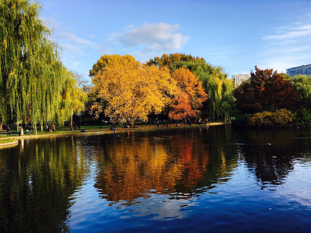 Boston Public Garden