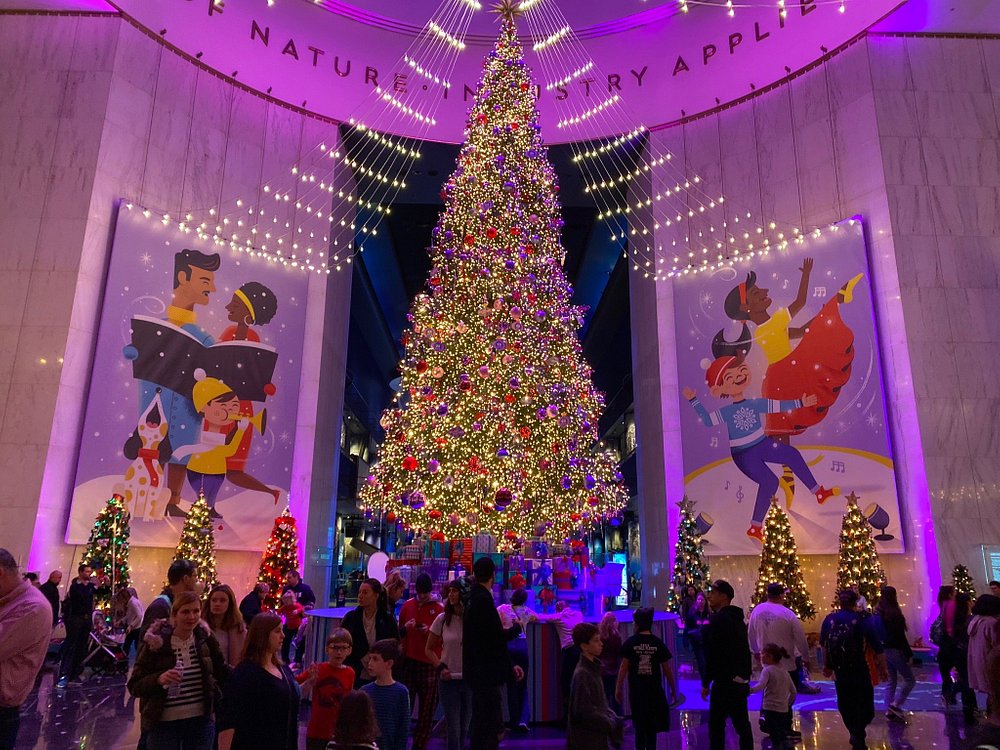 Museum of Science and Industry