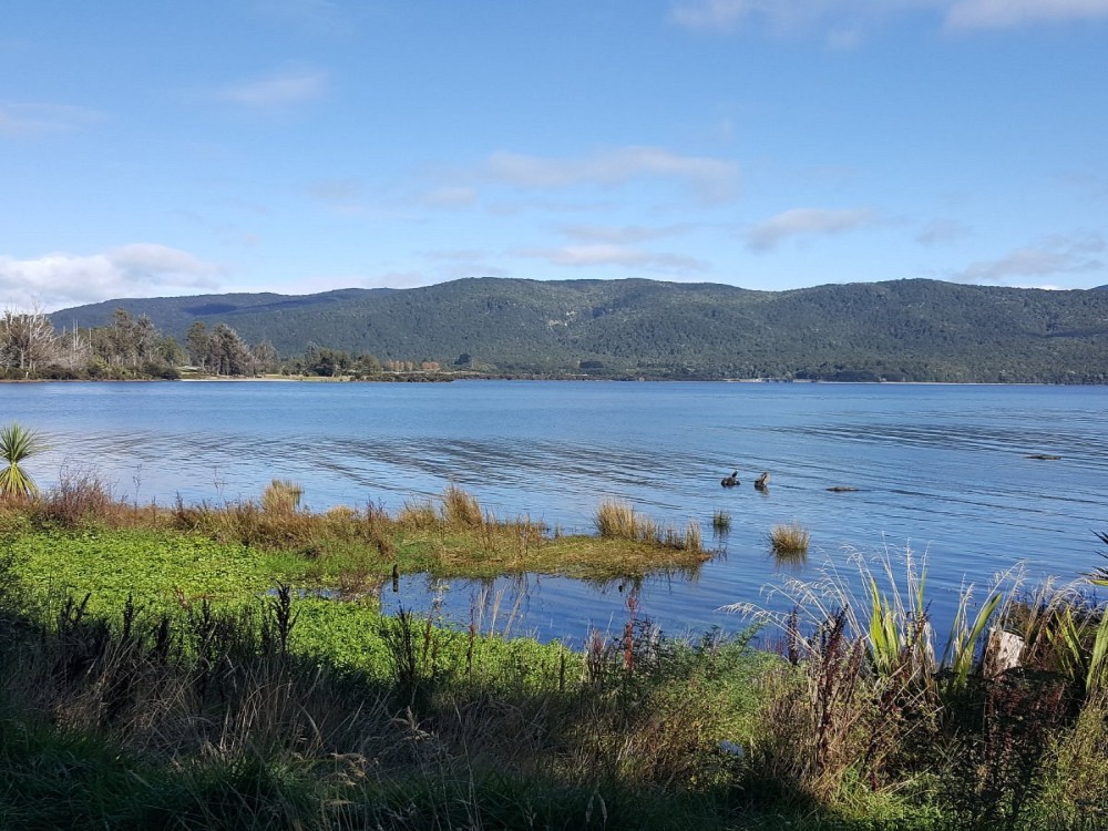 Te Anau Bird Sanctuary