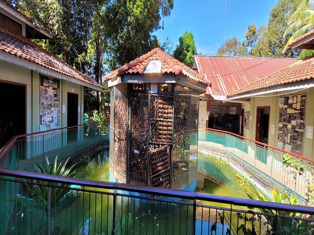 Cambodia Landmine Museum