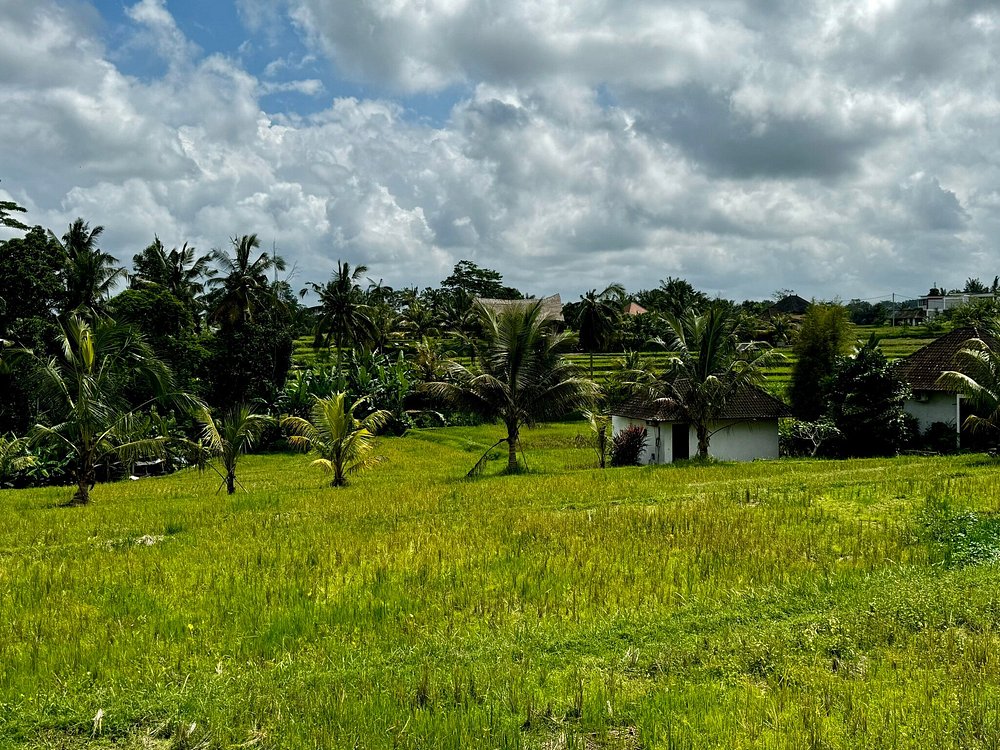 Campuhan Ridge Walk