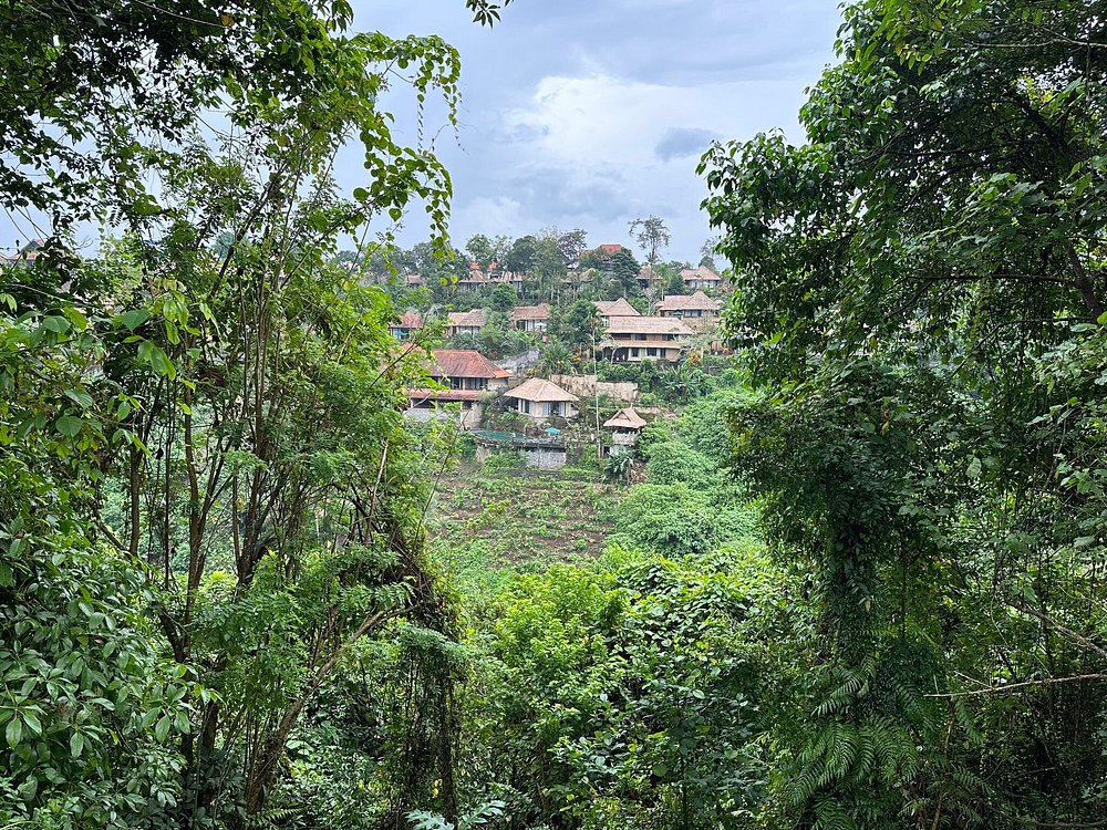 Campuhan Ridge Walk