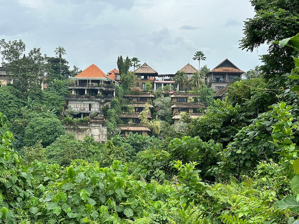 Campuhan Ridge Walk
