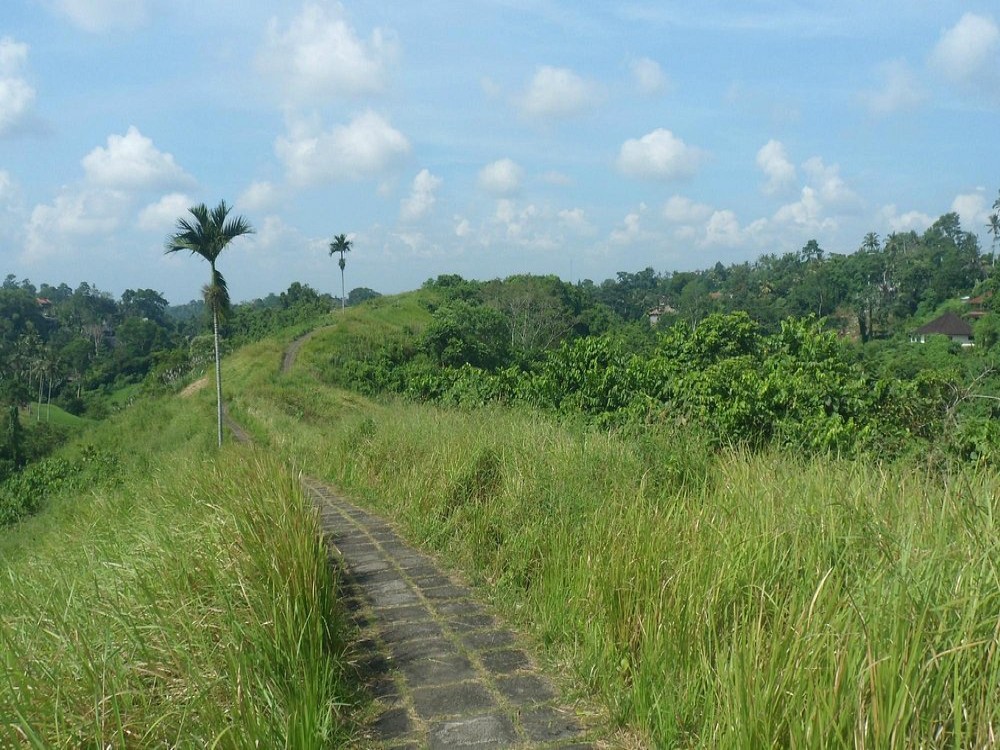 Campuhan Ridge Walk