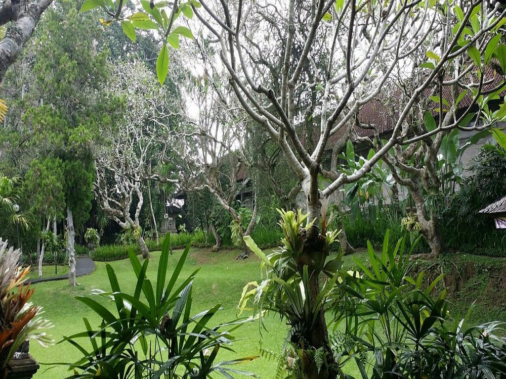 Museum Puri Lukisan