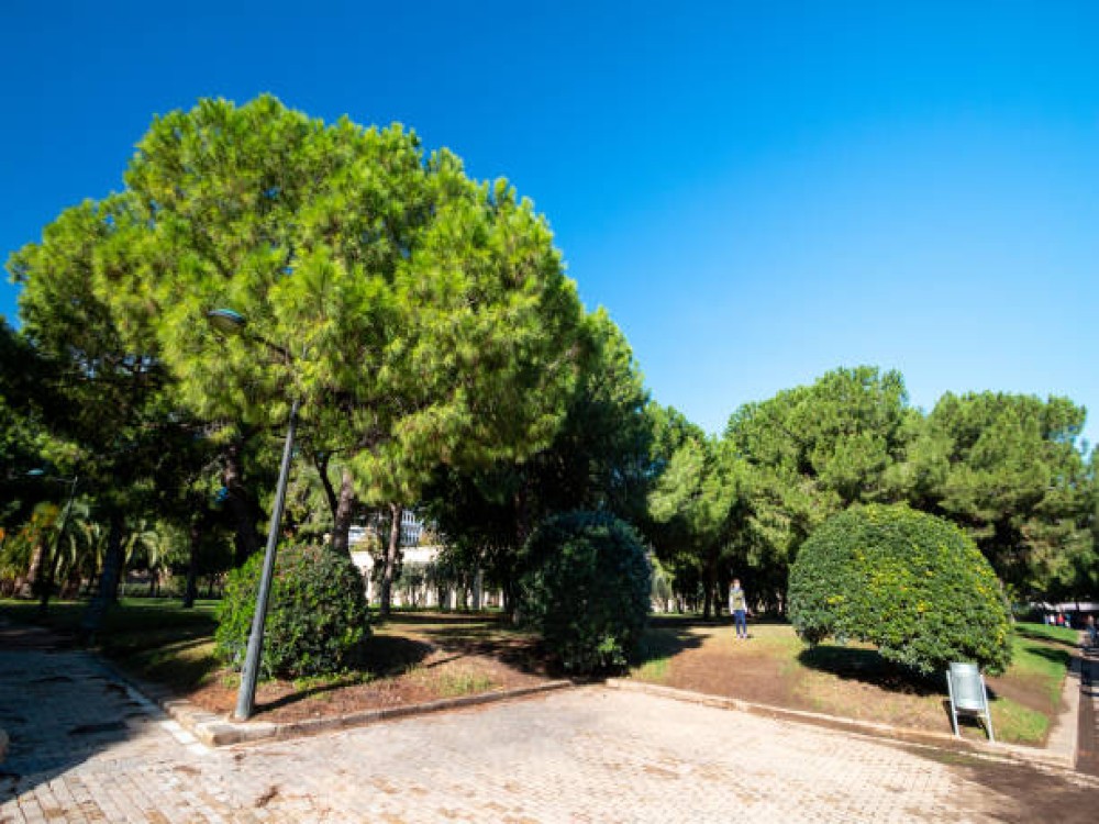 Parc Perdicaris