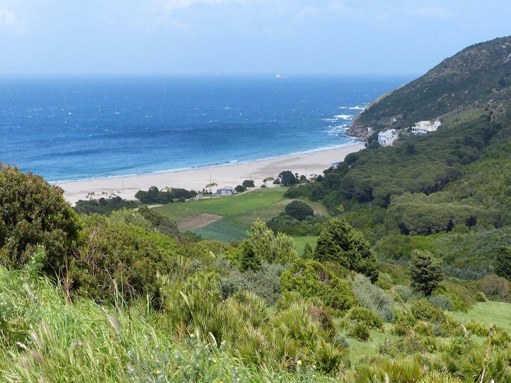 Dalia Beach