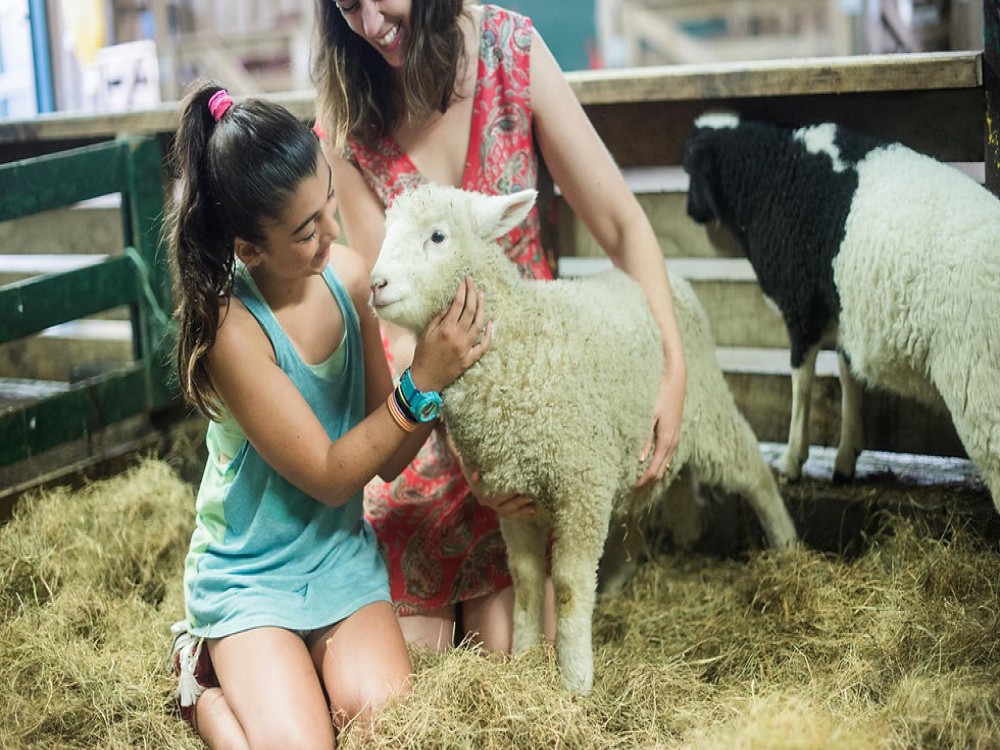 Agrodome