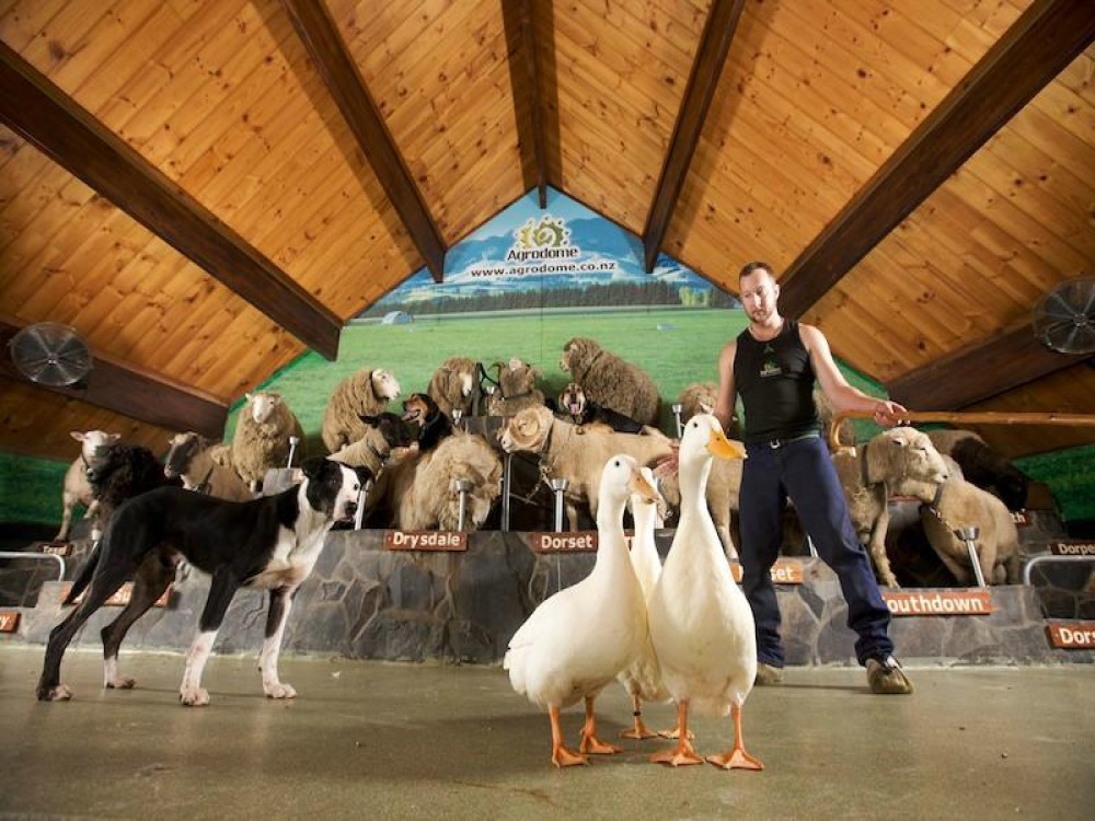 Agrodome