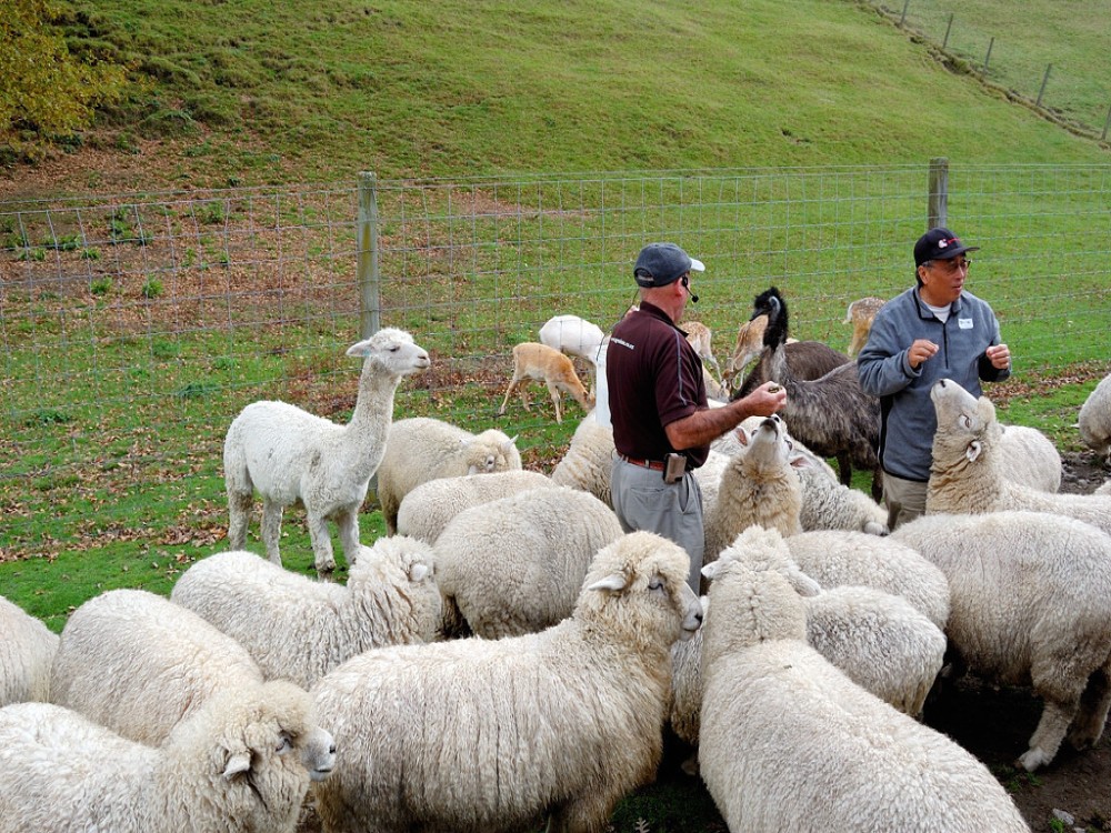 Agrodome