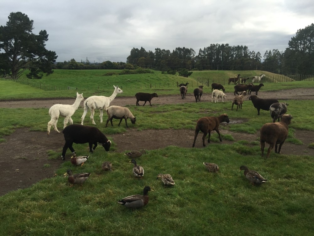 Agrodome