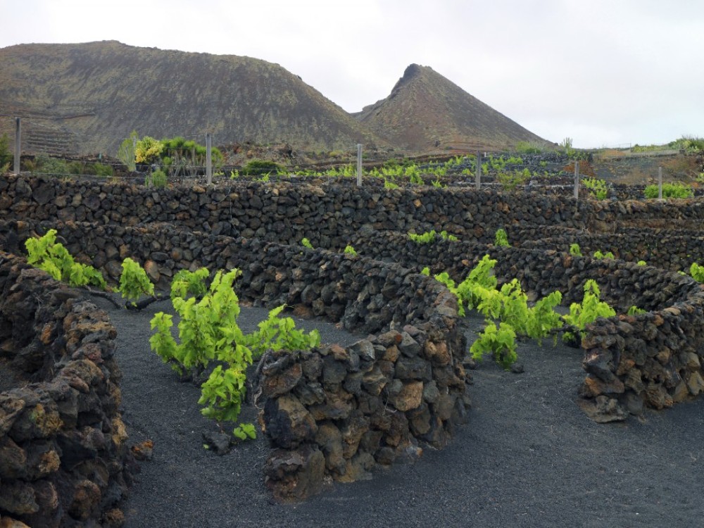 Volcanic Hills Winery