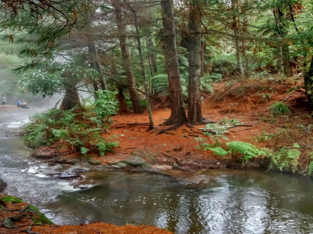 Kerosene Creek