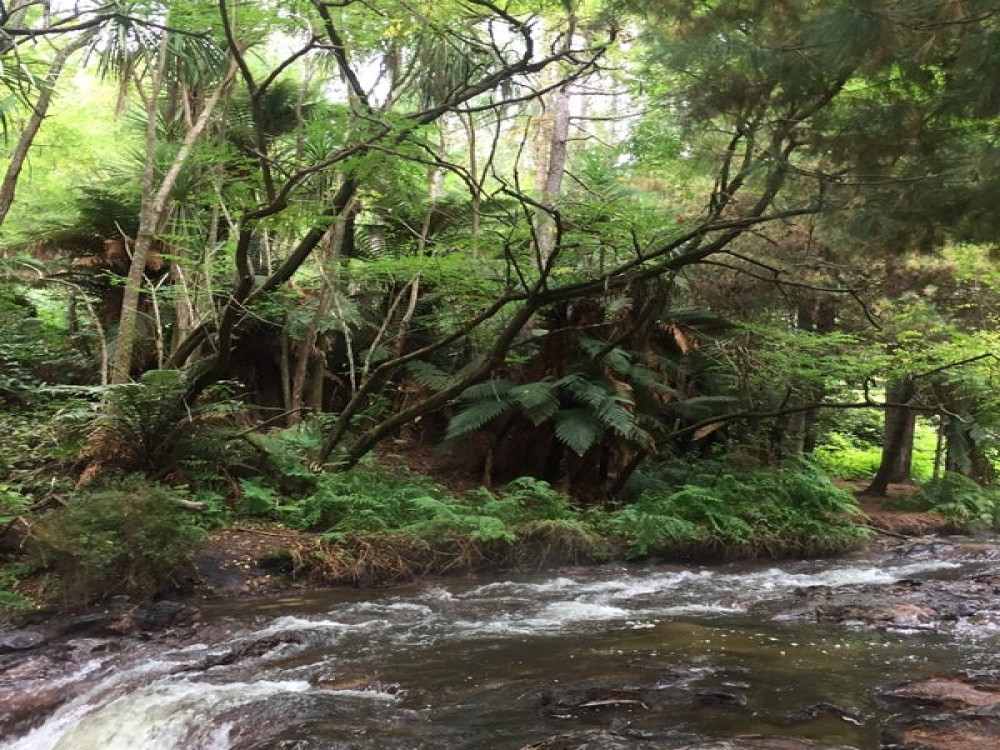 Kerosene Creek