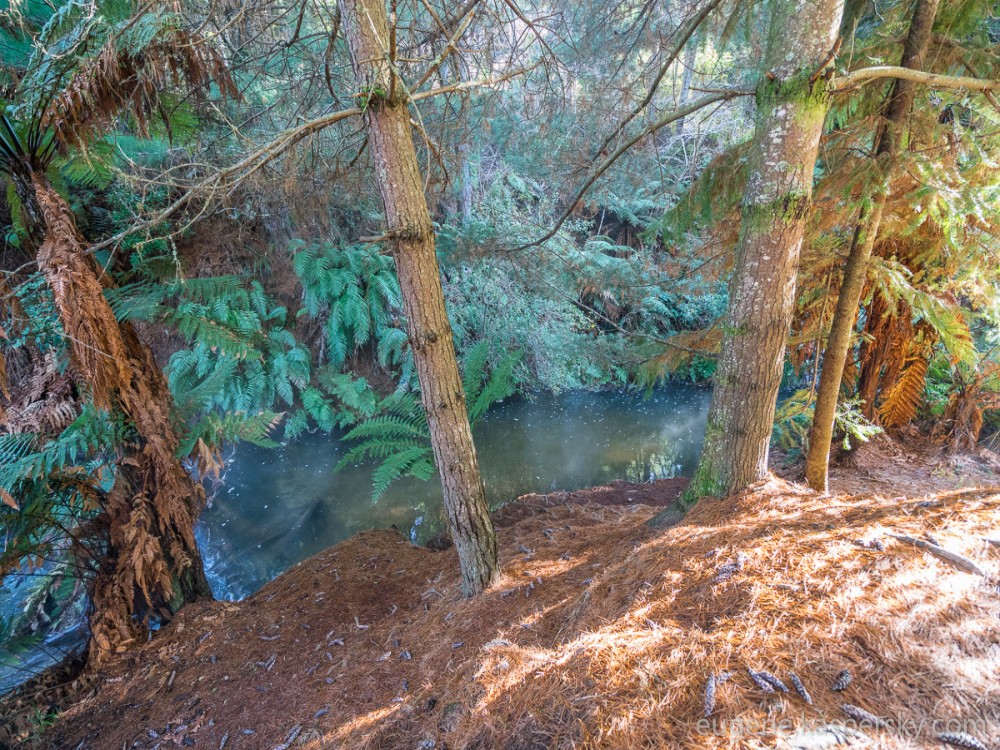 Kerosene Creek