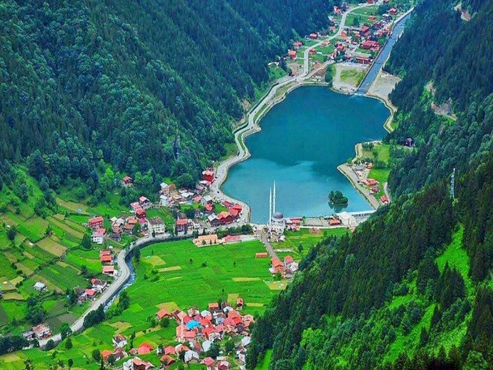 Uzungol