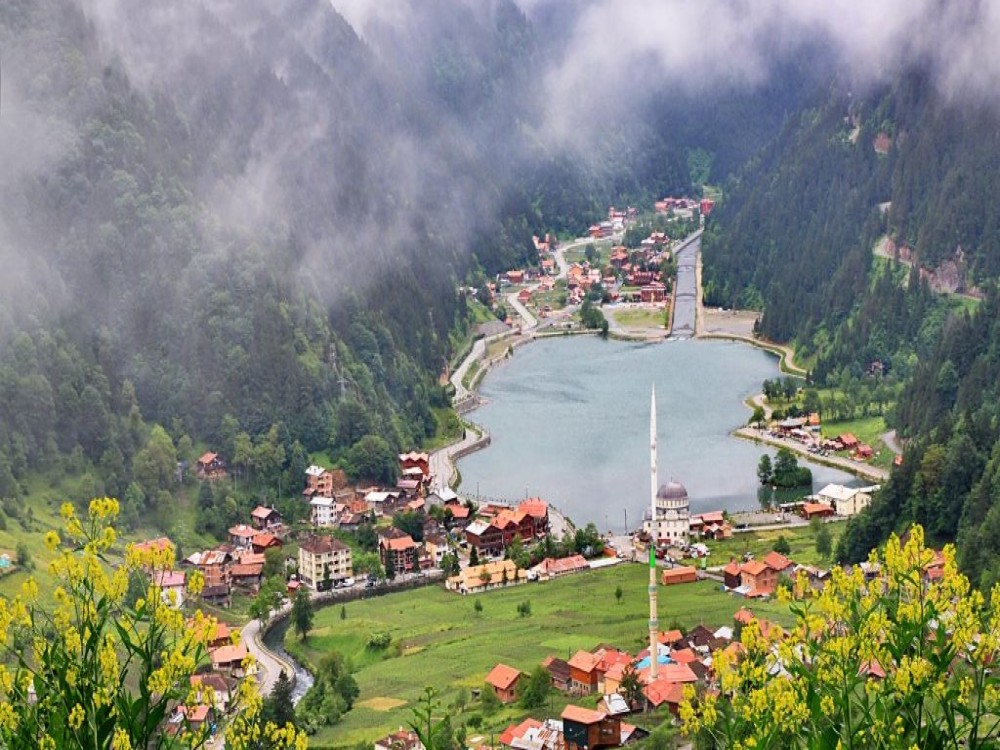 Uzungol