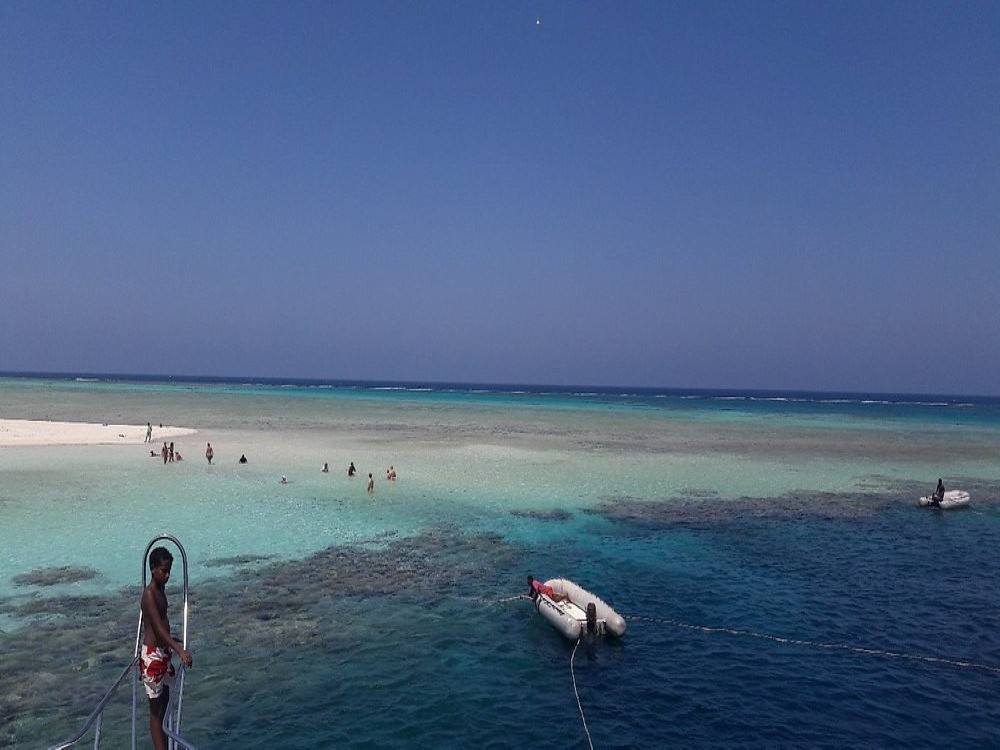 Wadi El Gemal National Park
