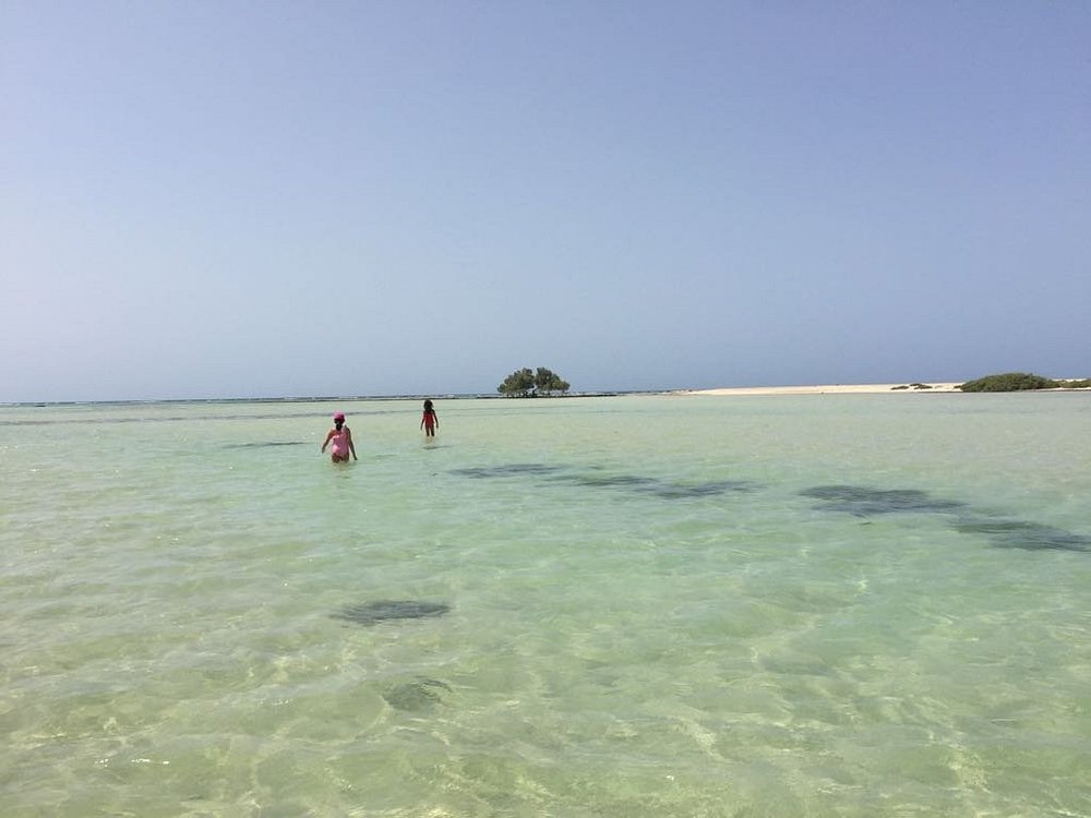 Wadi El Gemal National Park