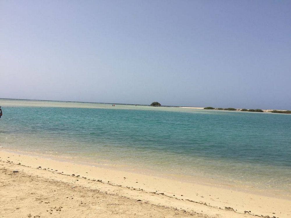 Wadi El Gemal National Park