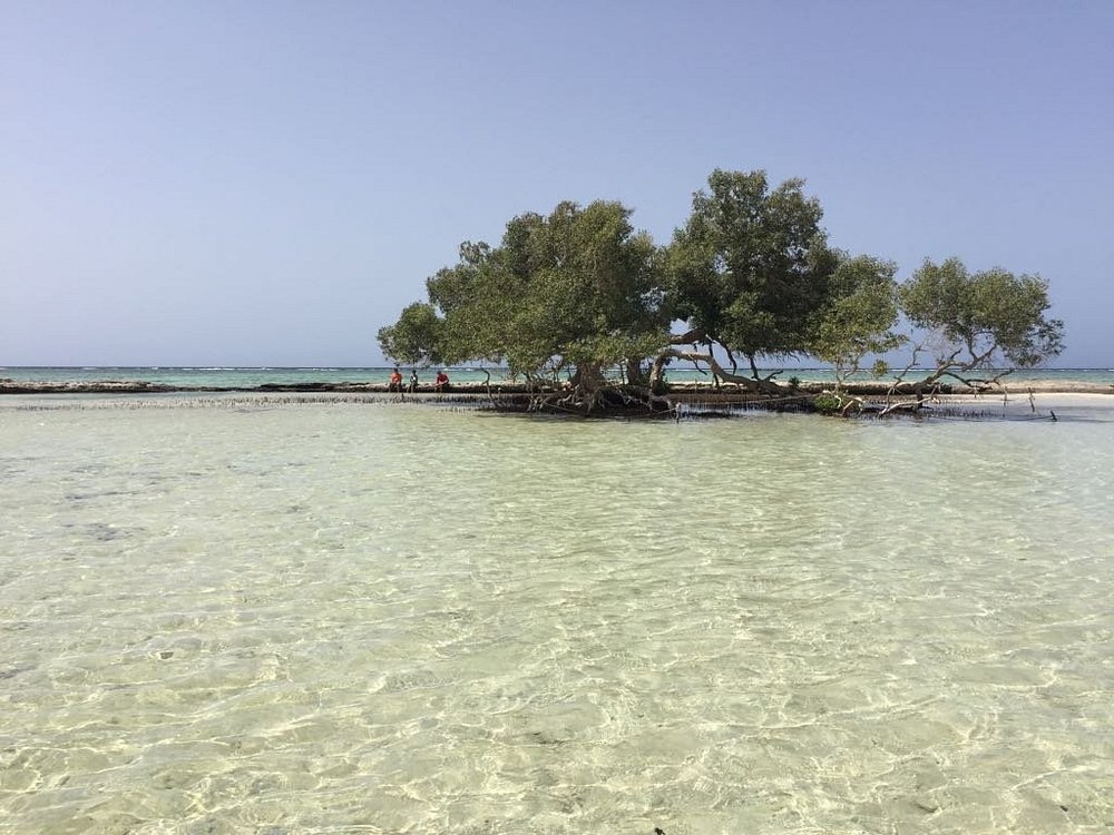 Wadi El Gemal National Park