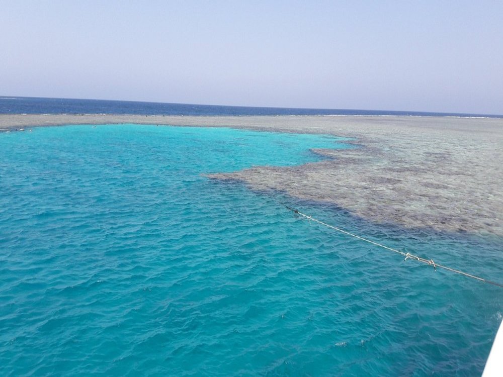 Wadi El Gemal National Park