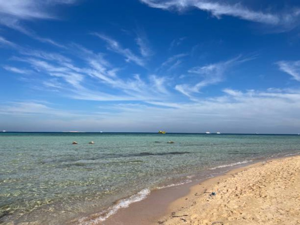 Abu Dabbab Beach