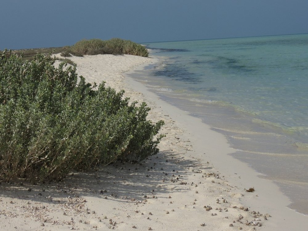 Isole Hamata