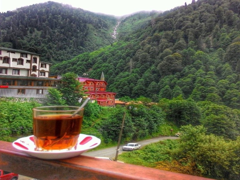 Ayder Yaylasi