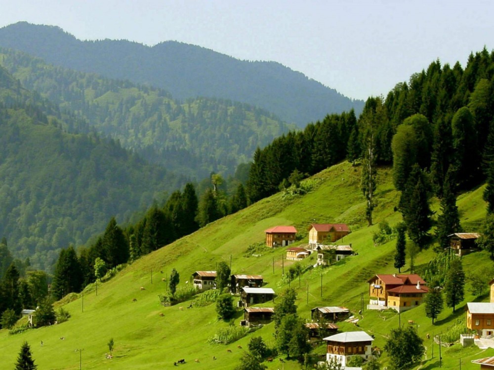 Ayder Yaylasi