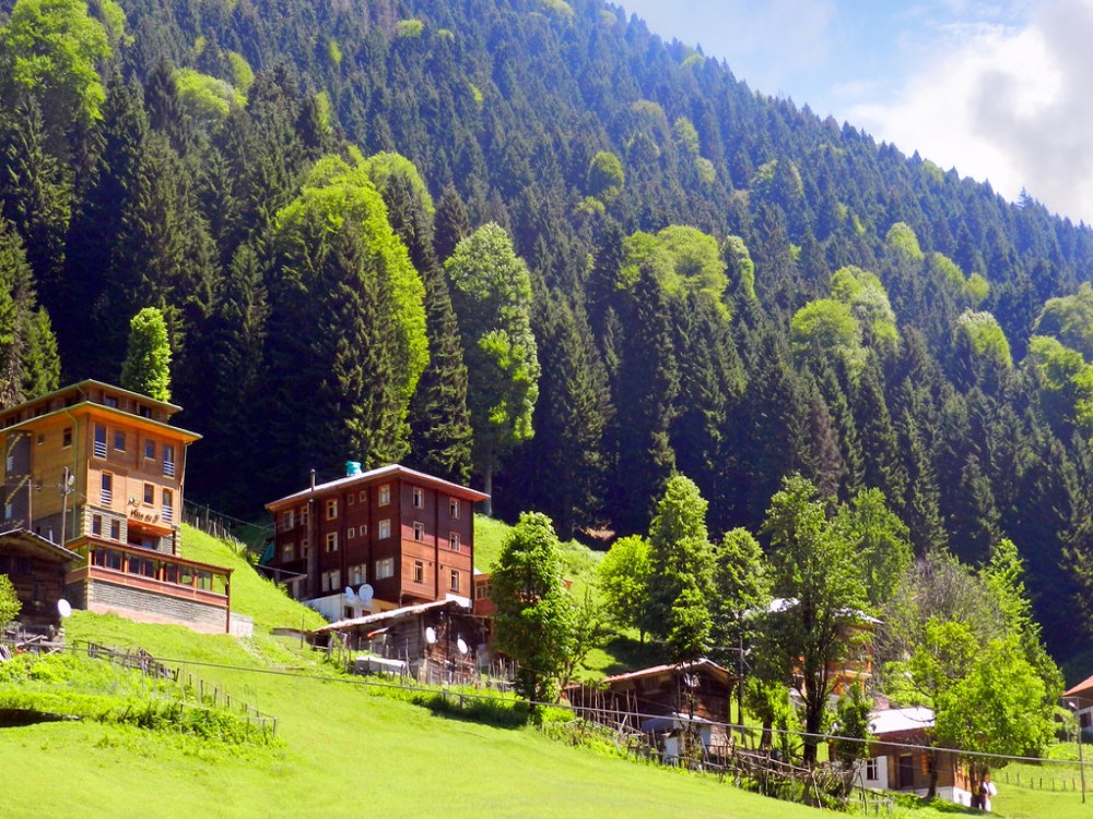 Ayder Yaylasi