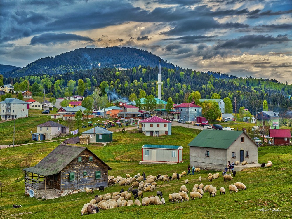 Hidirnebi yaylasi